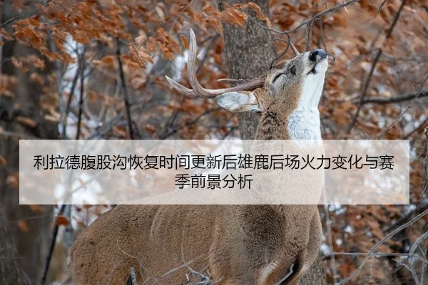利拉德腹股沟恢复时间更新后雄鹿后场火力变化与赛季前景分析